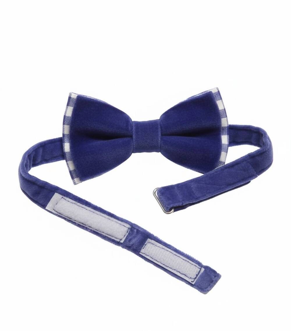 NEW BILLYBANDIT kids velour bowtie in blue